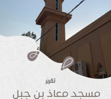 لقطة شاشة 2026 04 13 012421 360x320